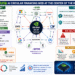 AI circular financing Nvidia OpenAI Microsoft