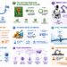 Future of Chinese AI next AI strategy emphasizes economy-wide deployment.